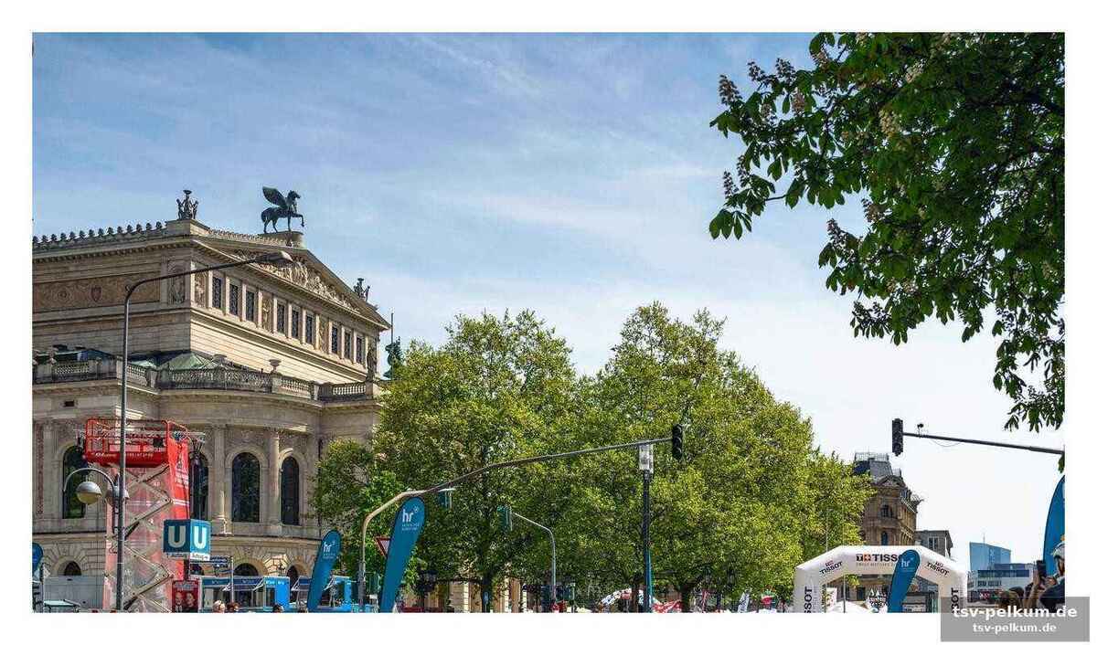 Kommentatoren und experten am start