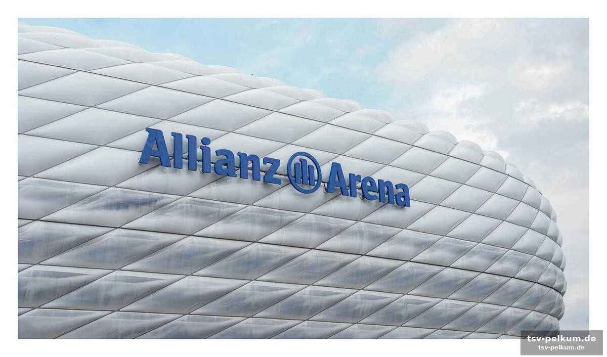 Chaos vor der allianz arena