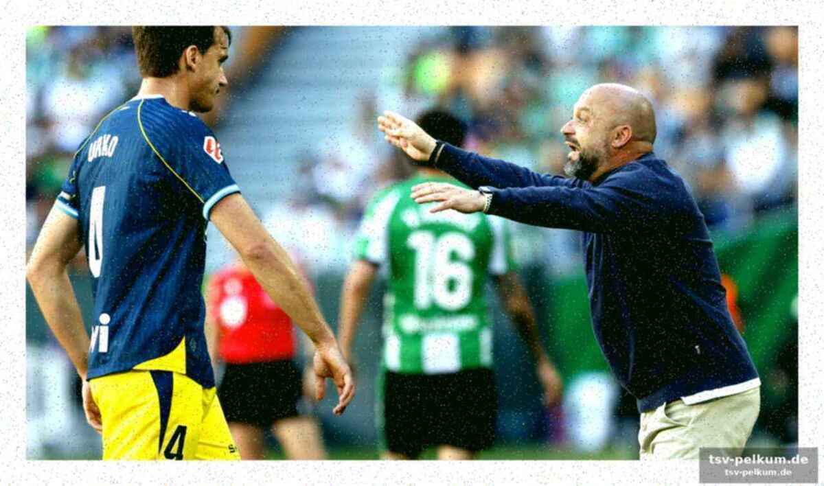 Die rückkehr der stabilität: ein neuer ansatz für manolo gonzález