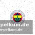 Vorfälle im stadion: laserpointer und gegenstände