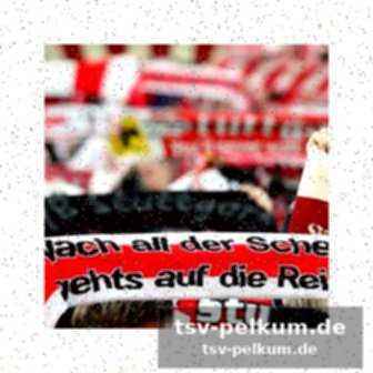 Swr-berichterstattung