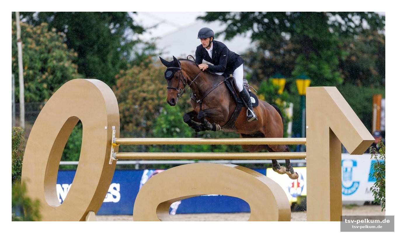 Mehr als nur reiten: vogel setzt sich für den amateursport ein