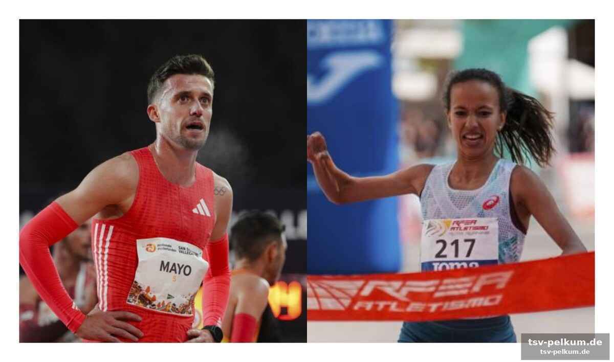 Erfahrene kräfte und neue gesichter im marathon-team