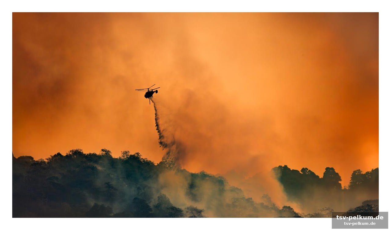Die who warnt: klimawandel als gesundheitsnotstand