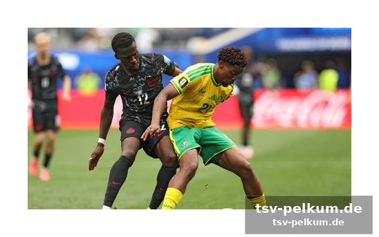 Bafana bafana verabschiedet sich mit erhobenem kopf