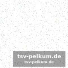 Die neuen gesichter, die niemand unterschätzen sollte