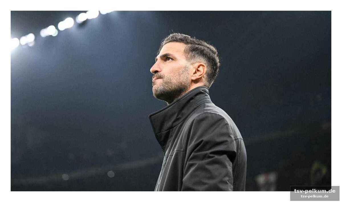 Ein taktischer wandel: vom 3-5-2 zum 4-2-3-1