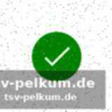 Eindringen in netzwerke von ticketfälschern