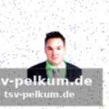 Weitere fälle von fälschungen