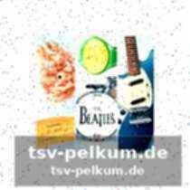 Tabelle: überblick über die bekannten fälle