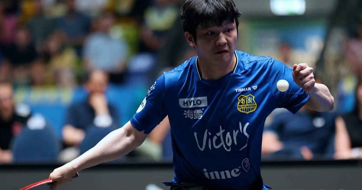 Fan zhendong krönt saarbrücken mit triple-triumph!