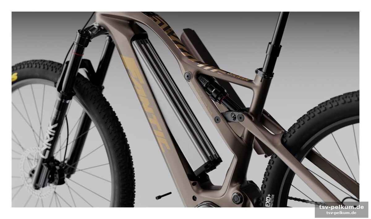 Carbon-racer gegen allrounder: die unterschiede im detail