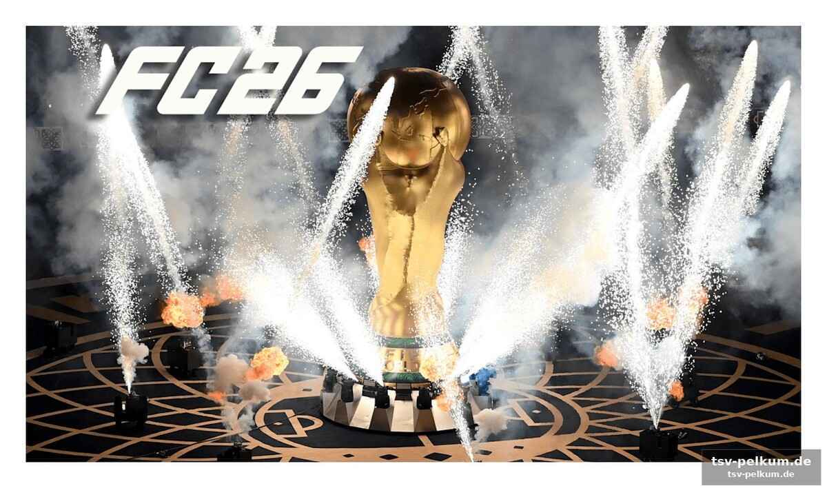 Ein deal mit der fifa – nur für den sommer?