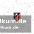 Trainer flick kritisiert lange var-prüfung