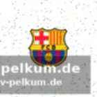 Die „unify league“ – ein gescheiterter versuch der reform