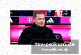 Die alternativen im tor