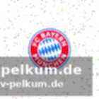Weniger ausrutscher unter pesic