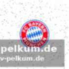 Aktuelle formkurve der bayern