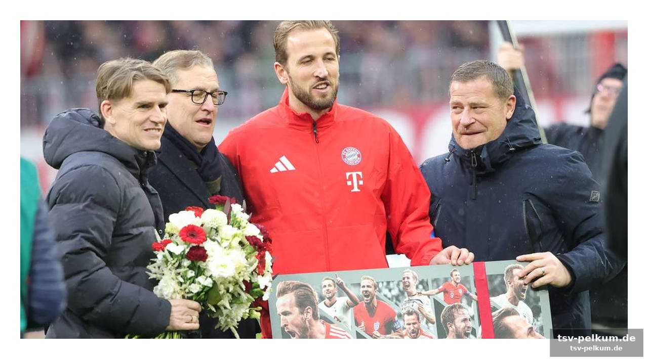 Die statuten als bremse