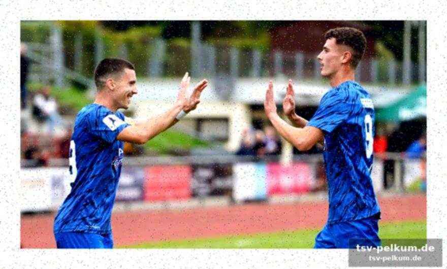 Analyse und transferstrategie