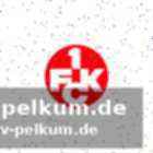 Finanzielle stabilität und professionalisierung