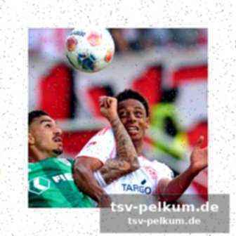 Der kommende spieltag: stuttgart gegen köln