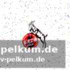 Zwischenfälle und spielunterbrechungen