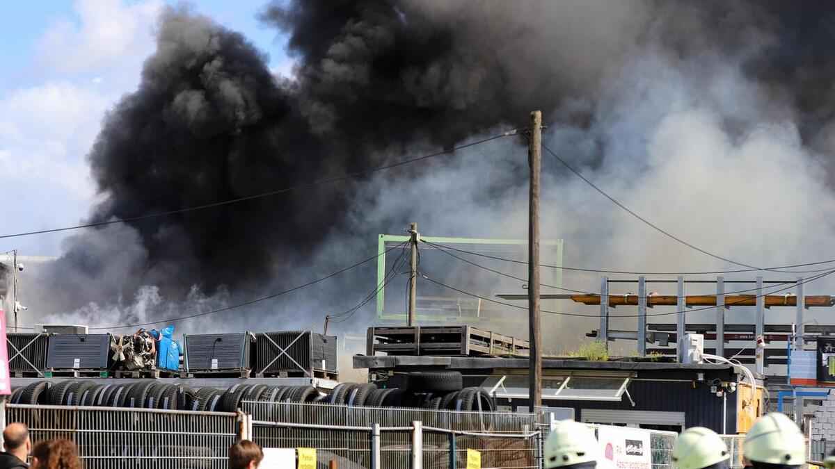 Fc köln: spendenwelle nach ultras-feuer – gemeinschaft zeigt herz