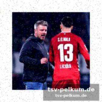 Das verhältnis zwischen kwasniok und el mala