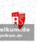 Der verein soll das gespräch suchen