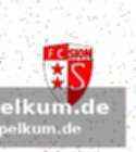 Spieler und sportchef geben sich selbstkritisch