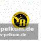 Yb-kader im umbruch: mehr junge spieler