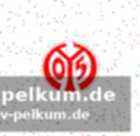Hacks karriere im überblick