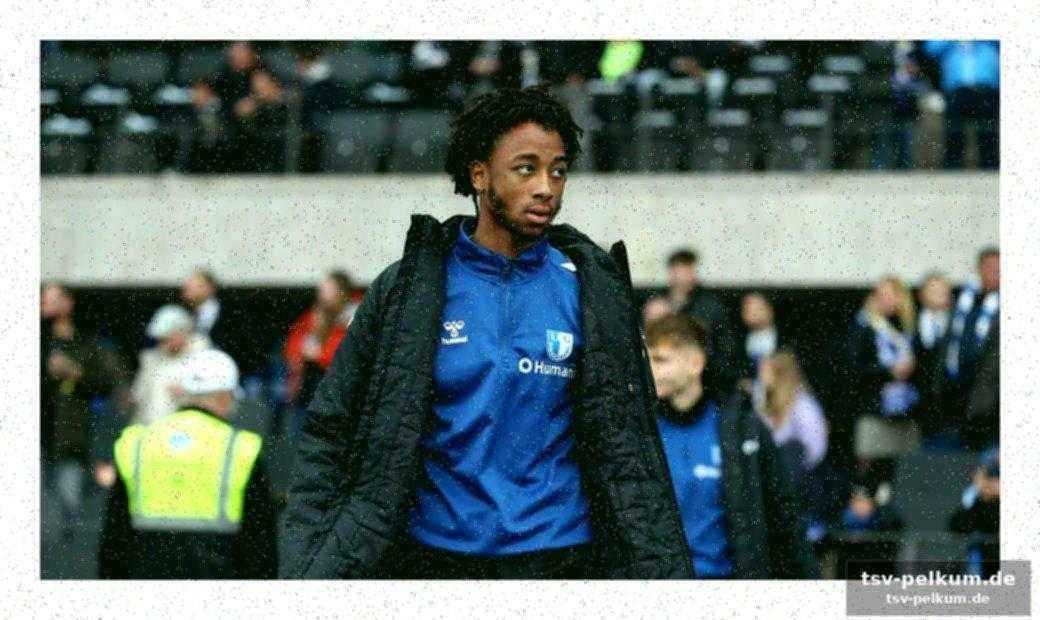 Rekordtransfer für hansa rostock: naderi zum glasgow rangers