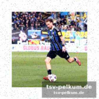 Stuttgart ii: ein junges und dynamisches team