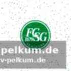 Spielverlauf und tore