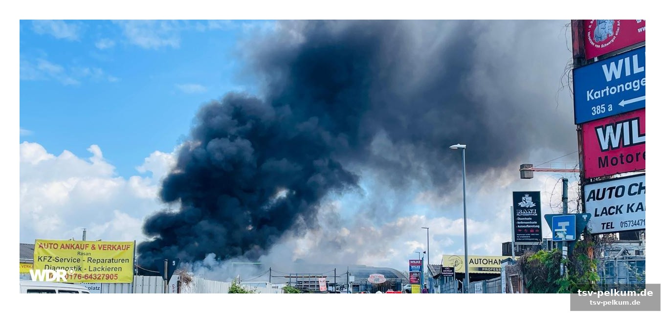 Ein zeichen der zusammengehörigkeit