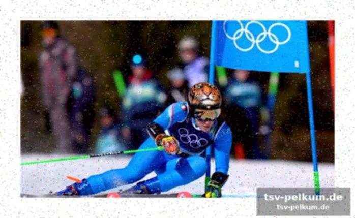 Rekord-einschaltquoten für den riesenslalom