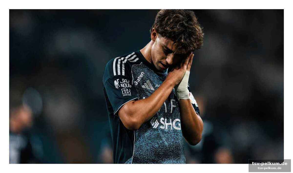 Blick nach vorne: die portugiesische nationalmannschaft und die wm