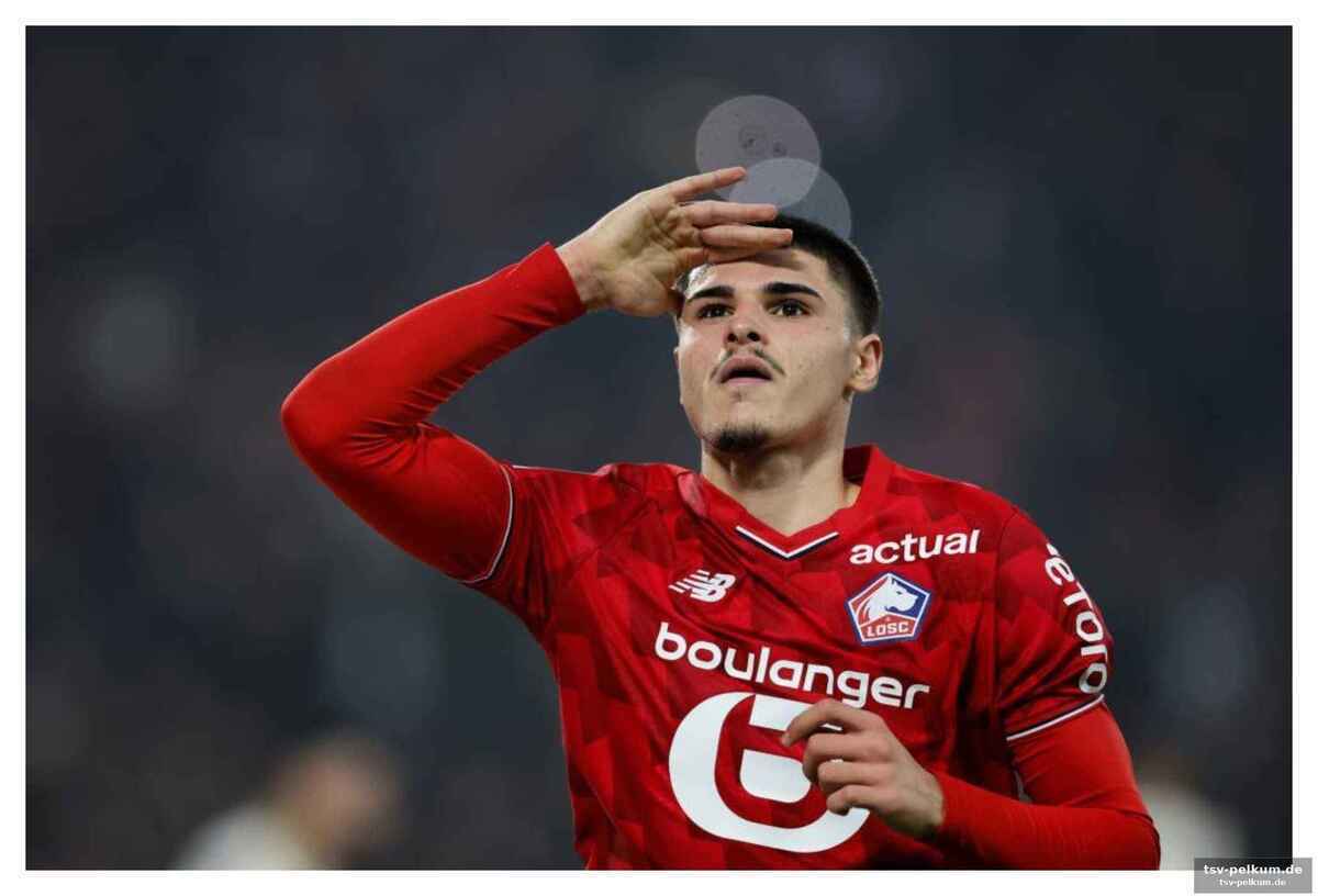 Lille profitiert vom pulsschlag