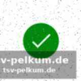 Der entscheidende moment: ein linker haken setzt dem kampf ein ende