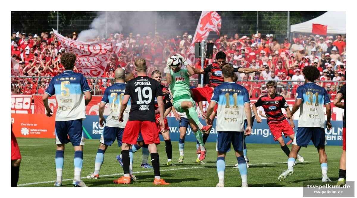 Cottbus scheitert an underdog, msv zieht ins pokalfinale ein