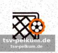 Statistik im überblick