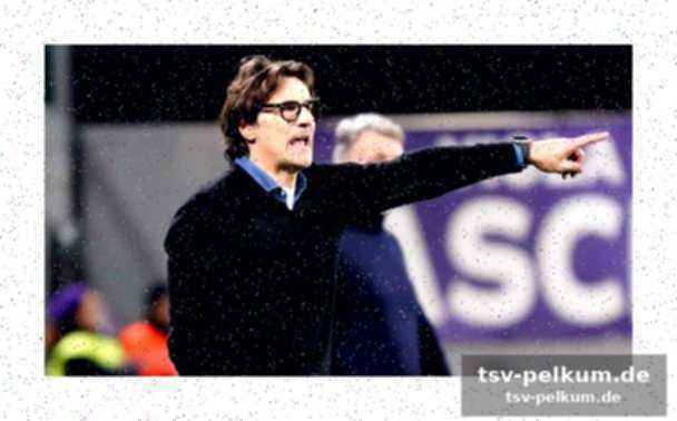 Der komplette kader für udinese