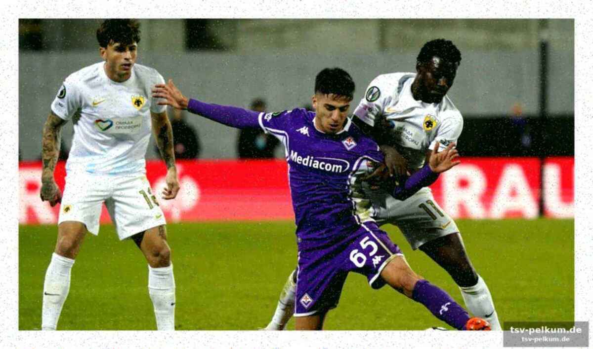 Der allrounder im dienste der viola