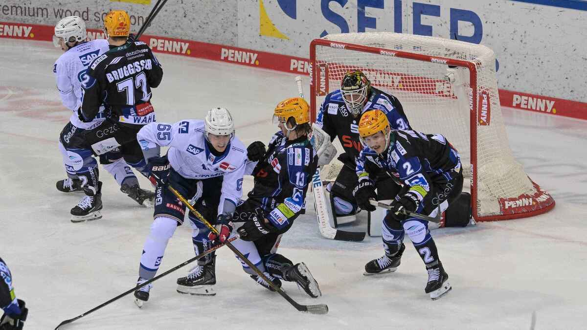 Fischtown pinguins verlieren gegen mannheim in der nachspielzeit