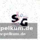Die qualifikation für die champions league
