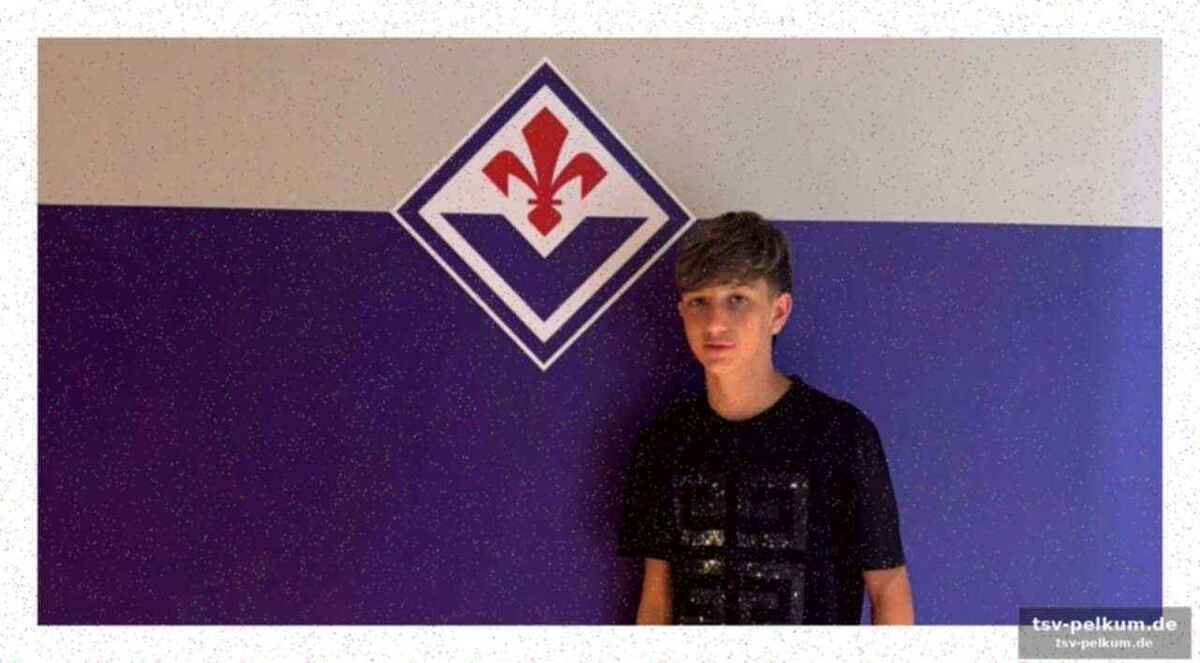 Lob für die viola-akademie