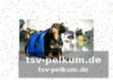 Wichtige links für reisende