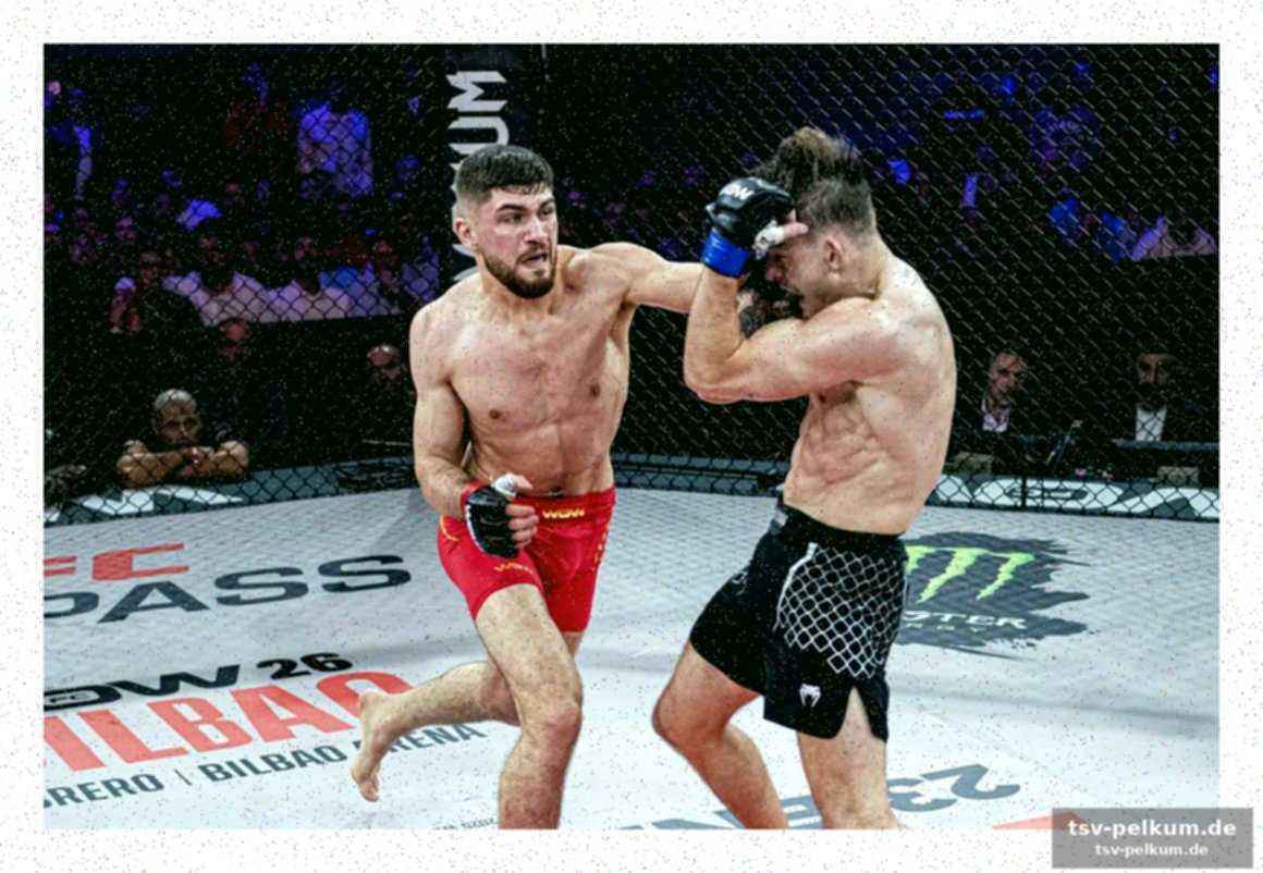 Die faszination mma – mehr als nur ein sport